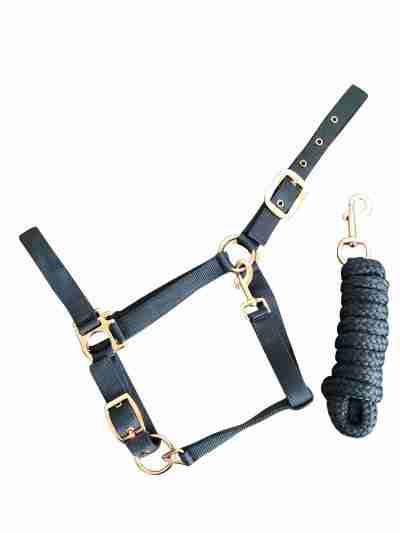 Beautiful Steel Grey Headcollar and matching lead rope