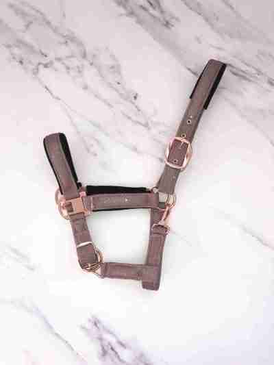 Dusty Pink Headcollar