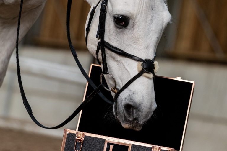 Grooming Box