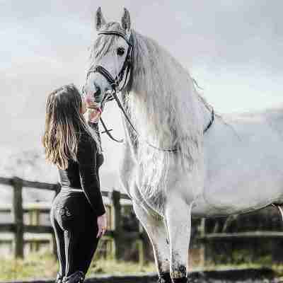 Full Seat Riding Tights