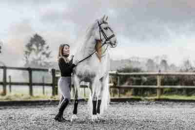 Grey Rider Leggings