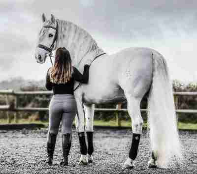 Grey Rider Leggings