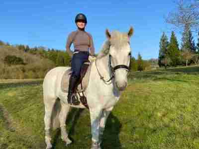 Navy Riding Leggings
