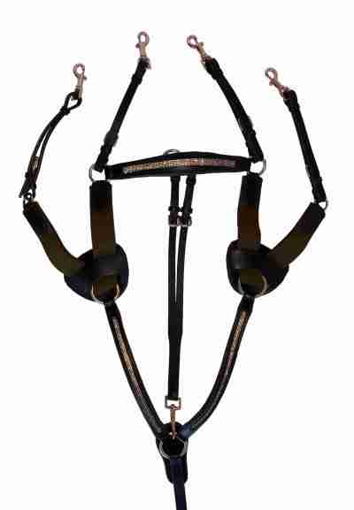 5 Point Breastplate