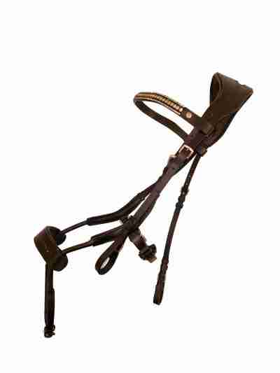 Havana Grandprix Bridle