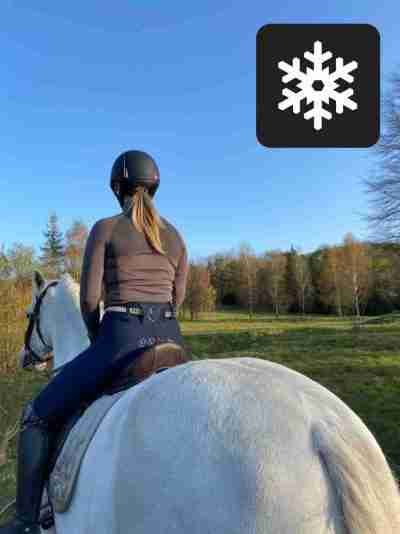 Navy Winter Leggings