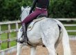 Wine Burgundy Riding Leggings