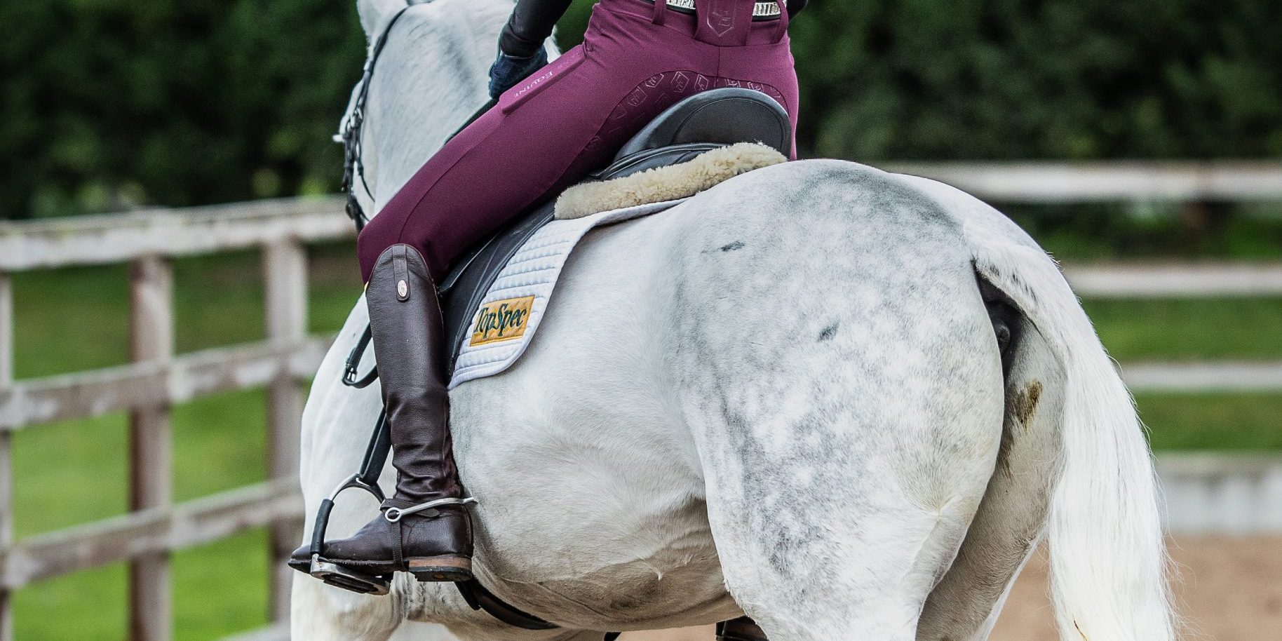 Wine Burgundy Riding Leggings Wine Burgundy Riding Leggings