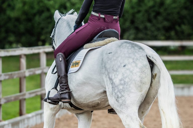 Wine Burgundy Riding Leggings