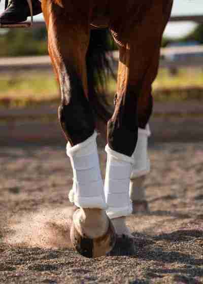 Valegro Brushing Boots