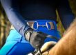 Royal Blue Riding Breggings