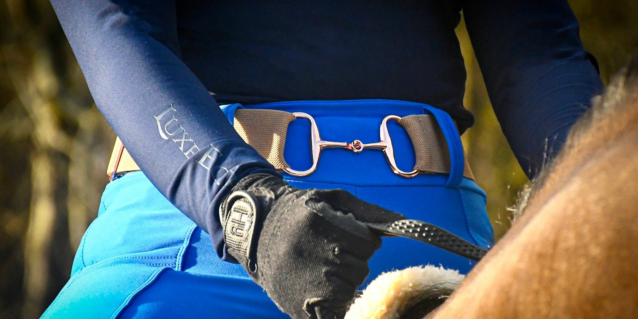 Royal Blue Riding Breggings