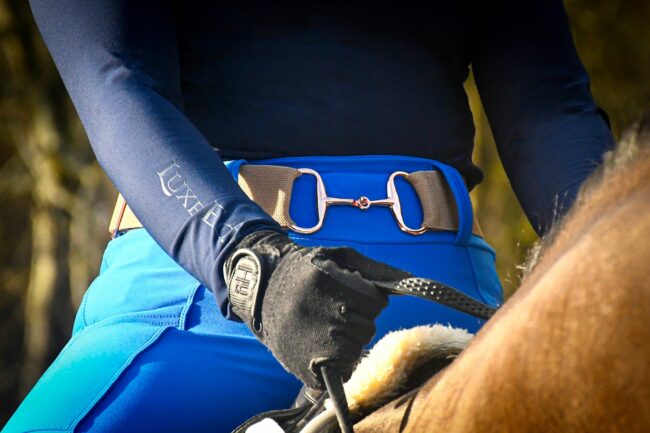 Royal Blue Riding Breggings Royal Blue Riding Breggings