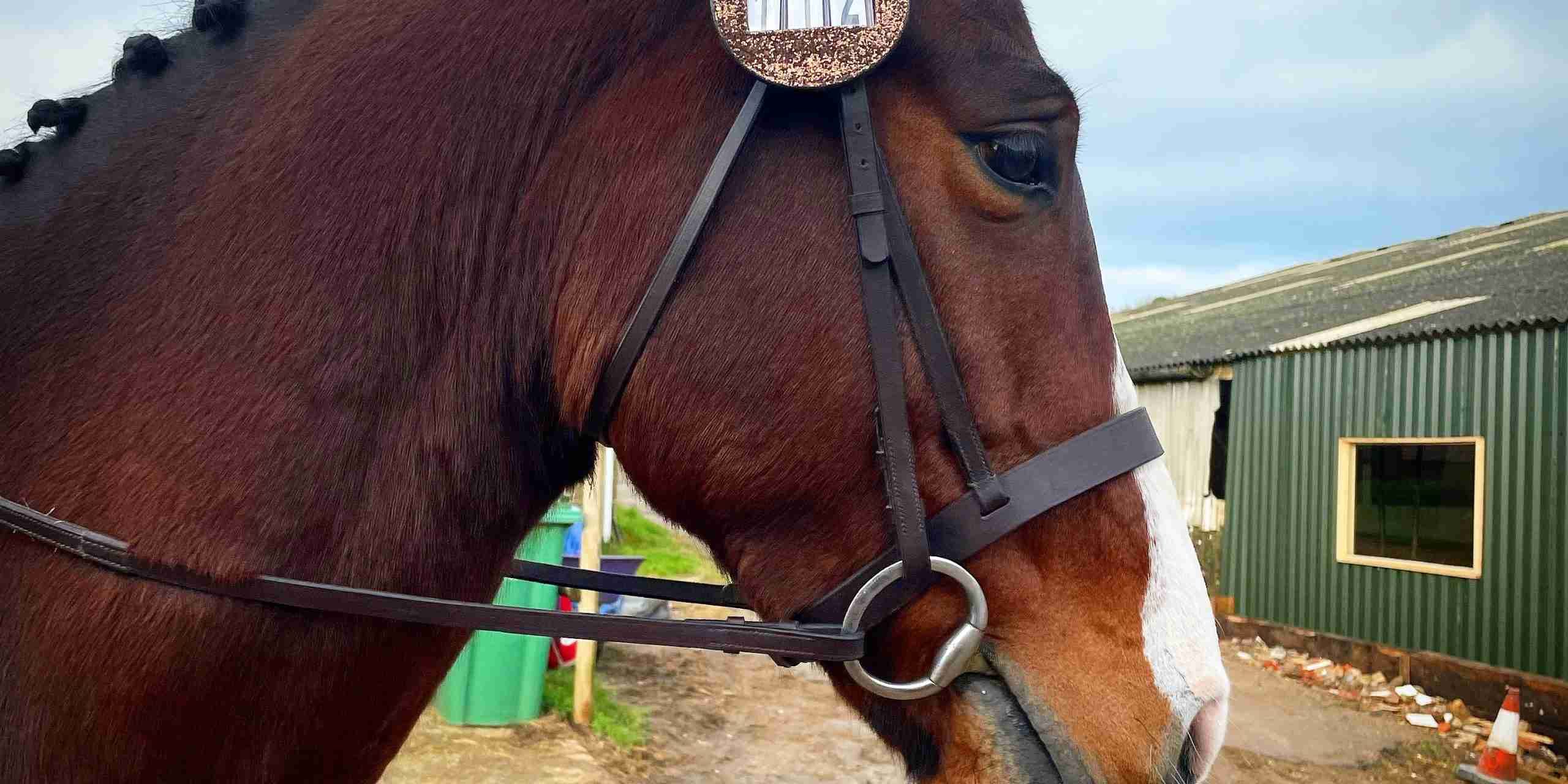 Bronze Bridle Discs For Dressage Bronze Bridle Discs