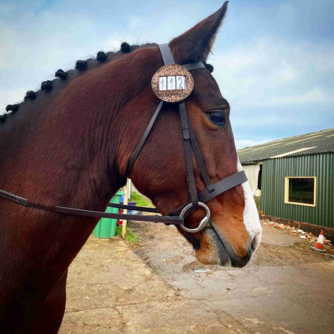 Bronze Bridle Discs For Dressage Bronze Bridle Discs
