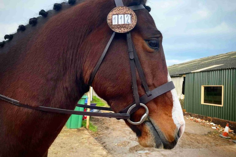 Bronze Bridle Discs