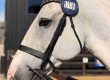 Bridle Discs