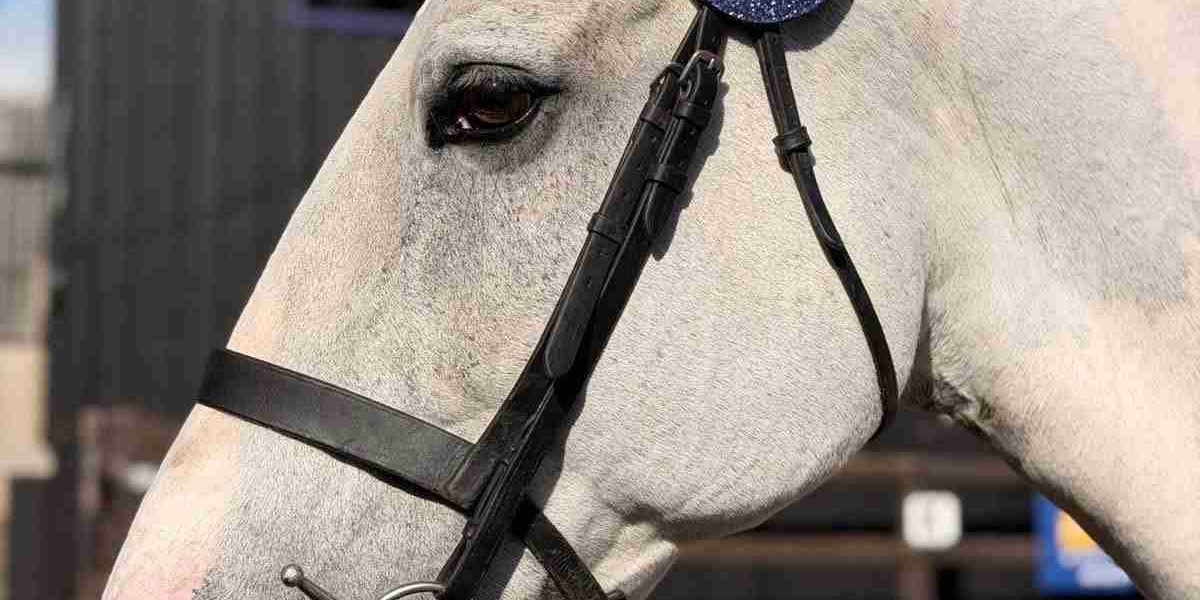 Bridle Discs Bridle Discs