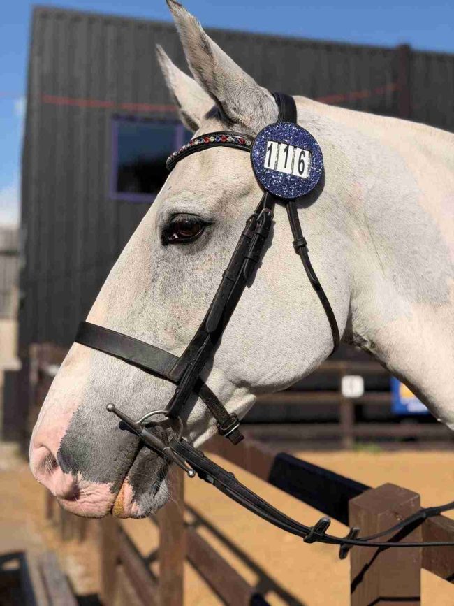Bridle Discs Bridle Discs